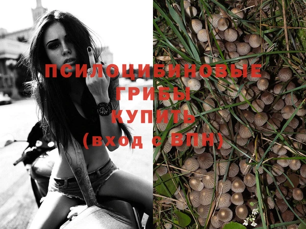 МДМА Беломорск