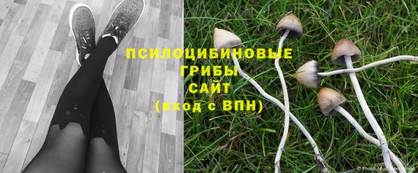 mdpv Белокуриха