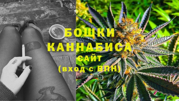 дживик Богданович