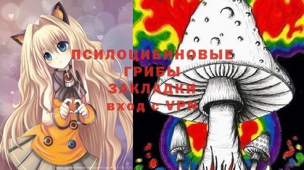 mdpv Белокуриха